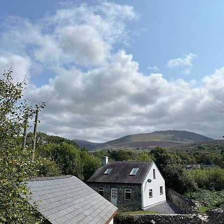 Bryn Rhedyn Cottage Cwm-y-glo Exterior foto