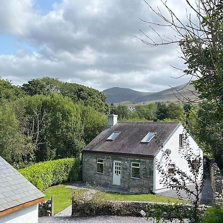 Bryn Rhedyn Cottage Cwm-y-glo Exterior foto