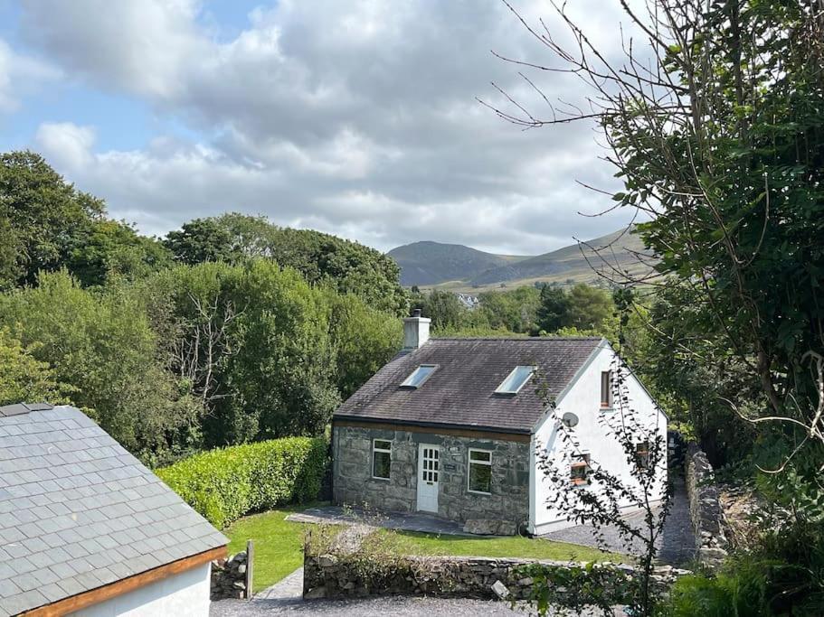 Bryn Rhedyn Cottage Cwm-y-glo Exterior foto