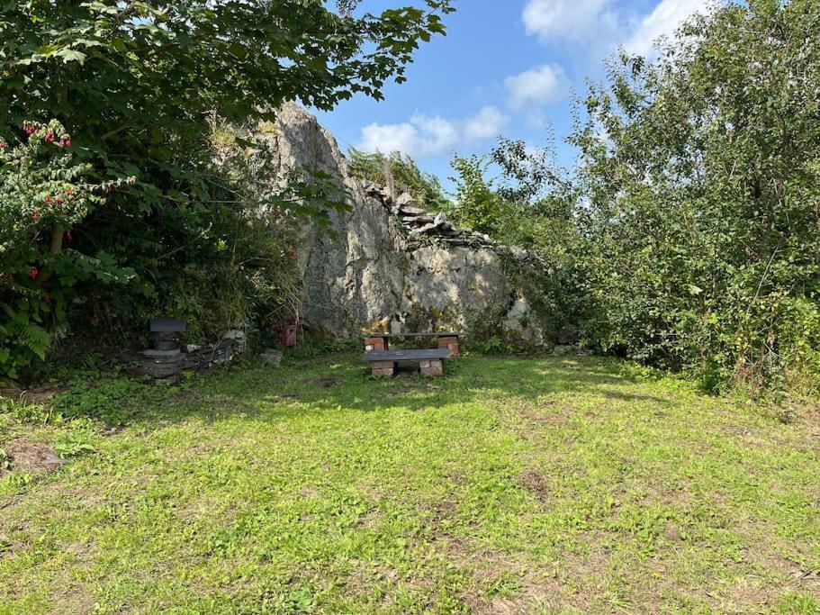 Bryn Rhedyn Cottage Cwm-y-glo Exterior foto